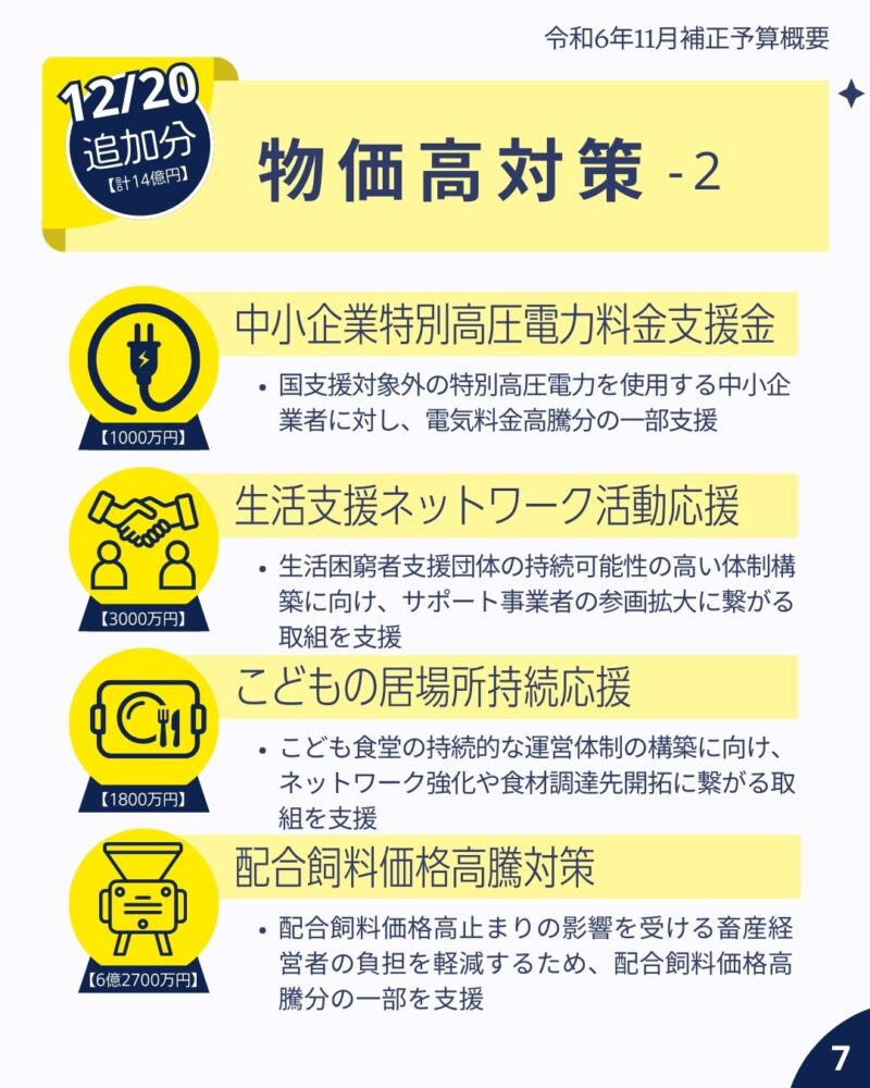 令和6年11月定例会補正予算概要7