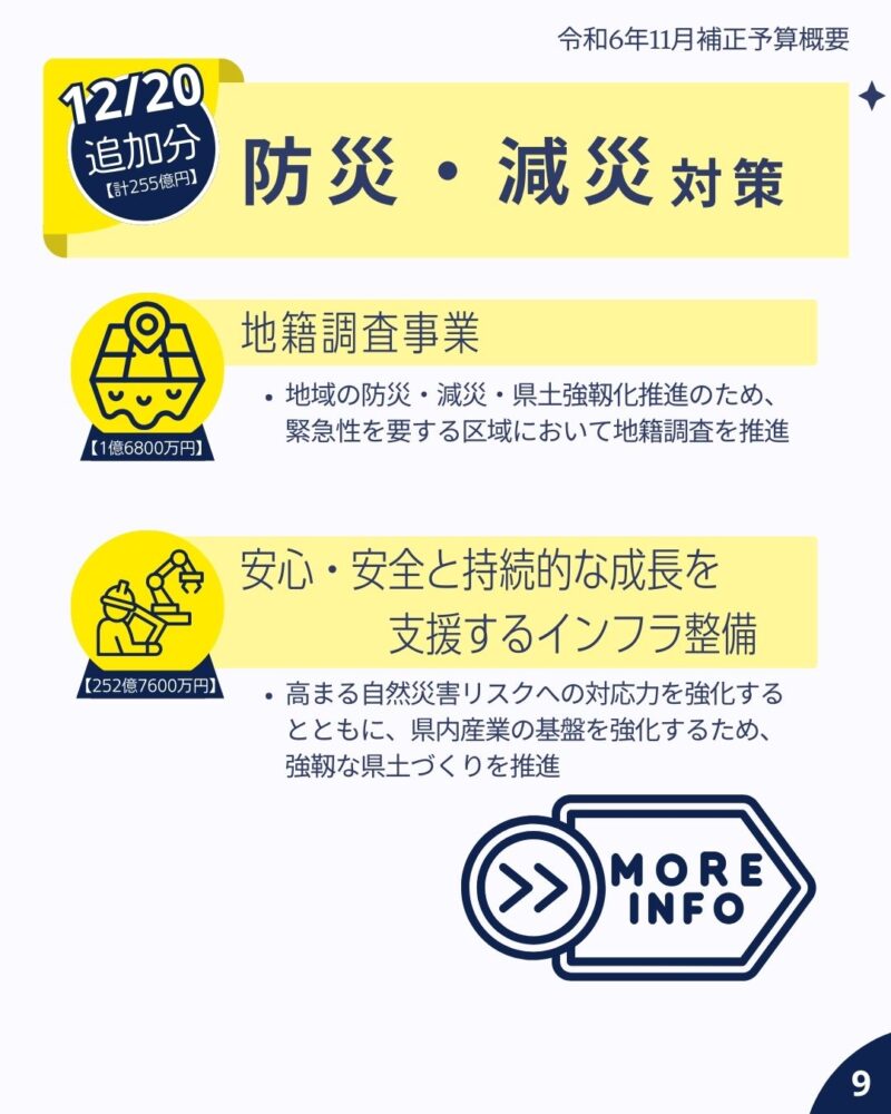 令和6年11月定例会補正予算概要9