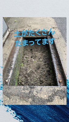 土がたくさんたまっています