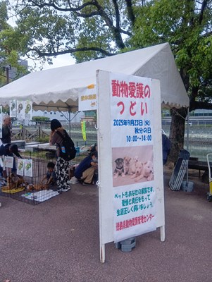 今年は藍場浜公園にて開催
