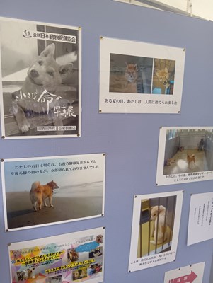 小さな命の写真展