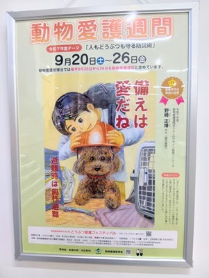 動物愛護週間2025